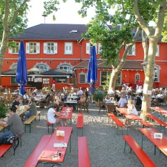 Beim Schupi - Bild 13