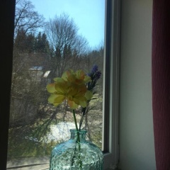 Harz House - Bild 5