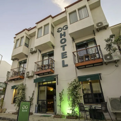 The Green Goose Hotel