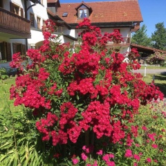 Appartementhaus Achmannhof - Bild 14