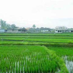 Tantra House Ubud - Bild 5