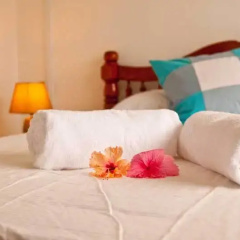 Manivelle Self Catering photo 2