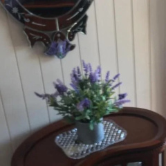 Swan Inn Bed and Breakfast thumbnail 13