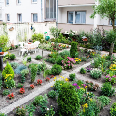 Altstadthotel Wienecke - Bild 11