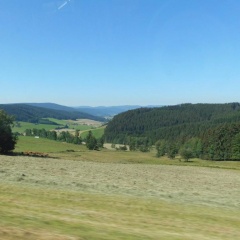Schwarzwaldgasthaus Salenhof - Bild 1
