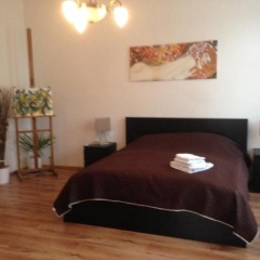 Exclusive apartment on Zborovska - Bild 4