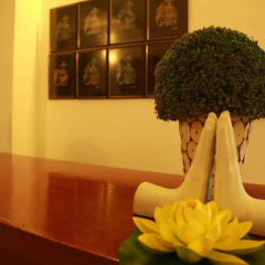 The Canes Boutique Hotel thumbnail 34