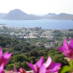 Lavanta Hotel - Bild 13