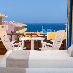 Marino Tenerife thumbnail 7