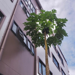Rakkawan Residence Khaolak (SHA Plus+) - Bild 1