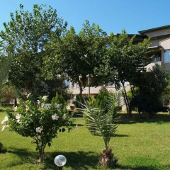 Senza Sunset Beach Hotel - Bild 18