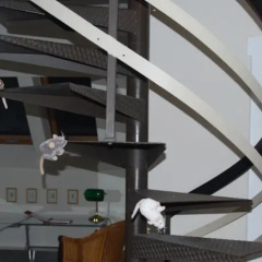Rosenvilla Hameln - Bild 9