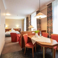 1 Raum Apartment großer Balkon - Bild 1
