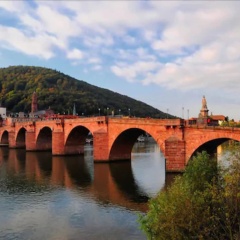 GuestHouse Heidelberg - Bild 14