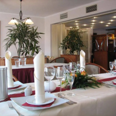 Hotel ElbRivera Alt Prester - Bild 25