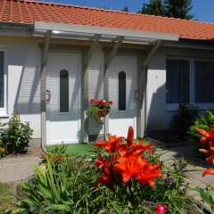 Brauner Hirsch - Bild 9