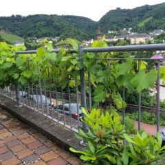 Stadtblick - Bild 3