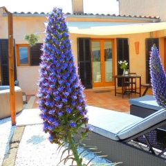 Apartamento Vista - Bild 12