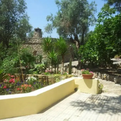 Tenuta la Siesta thumbnail 37