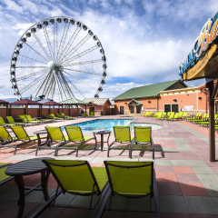 Margaritaville Island Hotel thumbnail 18