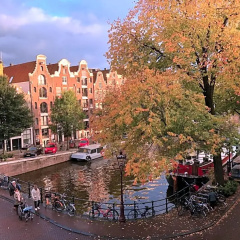 Décor Canal House thumbnail 8