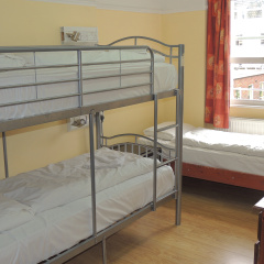 Dolphin Inn - Bild 4