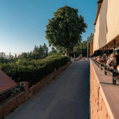 Berggasthof Königstuhl - Bild 18