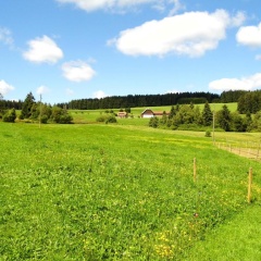 Ferienwohnung Schwarzwaldhof - Bild 3