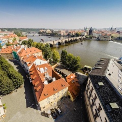 Archibald At the Charles Bridge - Bild 12