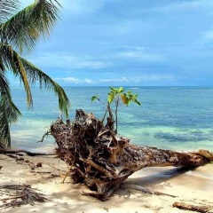 Mar Verde Lodge thumbnail 5