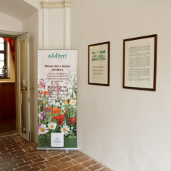 Hotel Adalbert - Bild 15