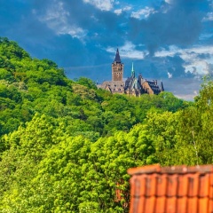 Ferienwohnung Ziegelbergsweg - Bild 1