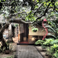 The Palm Trees Resort thumbnail 13