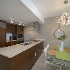Icon Residences W Miami by Sunnyside Resorts - Bild 7