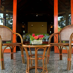 Taveuni Dive Resort thumbnail 39