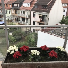 Hotel Krone - Weser Perle - Bild 19