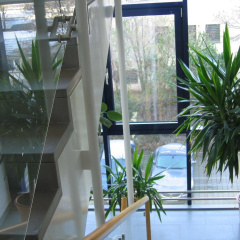 Carat - Bild 7
