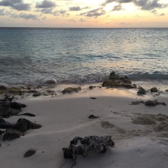 You & Sea Bonaire Apartments thumbnail 12