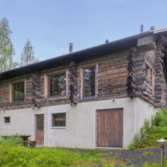 Muuttohaukka photo 2