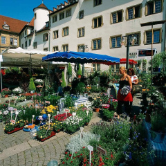 Scandic Stuttgart Europaviertel (Neueröffnung/Reopening) - Bild 19