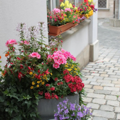 Hotel am Rathaus - Bild 6