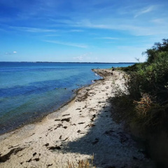 Appartements Post Hiddensee in Vitte - Bild 3
