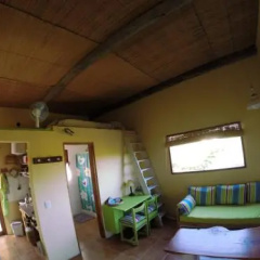 Hale Lau thumbnail 2