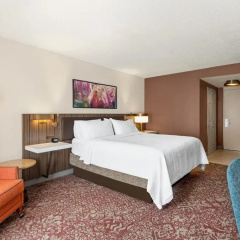 Standard Double room full double bed