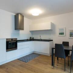 Отель Parksuites Apartments Graz Австрия, Грац - отзывы, цены и фото номеров - забронировать отель Parksuites Apartments Graz онлайн фото 19
