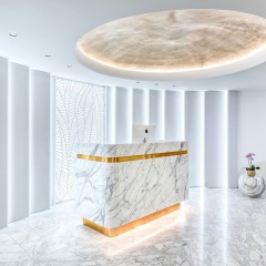 Matild Palace, a Luxury Collection Hotel, Budapest - Bild 19
