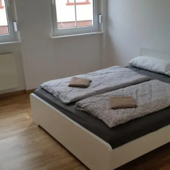 Greifen - Bild 3