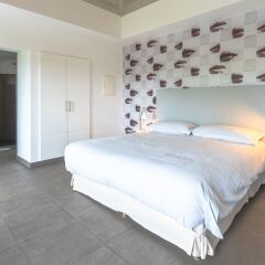 Dream Villa Flamands 737 in Gustavia, Saint Barthelemy from 1448$, photos, reviews - zenhotels.com photo 22