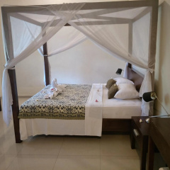 Frangipani Beach Hotel - Bild 3