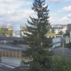 Top Hotel Krämer - Bild 14